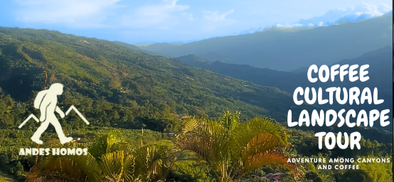 COFFEE CULTURAL LANDSCAPE TOUR - TOURS ANDES HOMOS