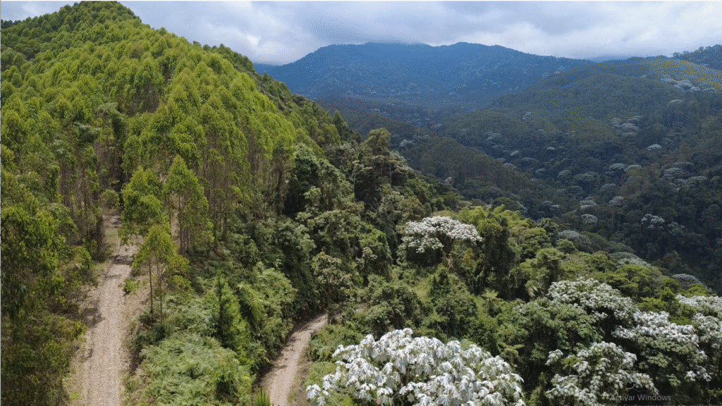 Panoramic view of Paramillo de Santa Rosa from Manzano Alto village, Quindío, La Bruja Waterfall in Santa Rosa de Cabal, Colombia, Traditional Colombian lunch prepared on a wood-fired stove at La Colombianita, Local artist Leonardo Trejos at his Putamaes farm, Coffee Axis.