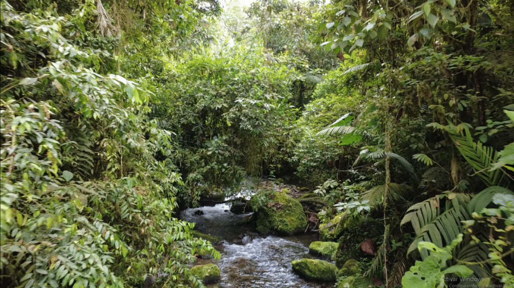Reserva La Aurora - Tour Putamaes - Consotá