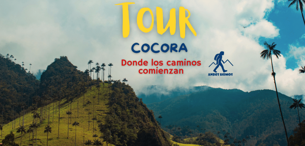Tour Cocora
