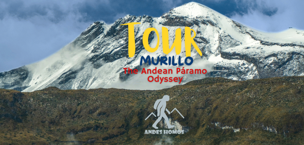 Tour Murillo